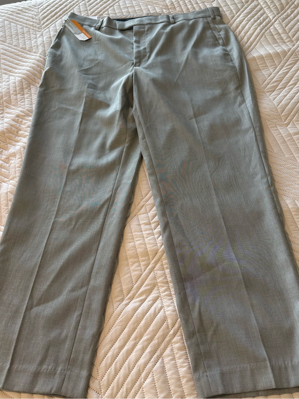 Savane Light Gray Men's Dress Pants